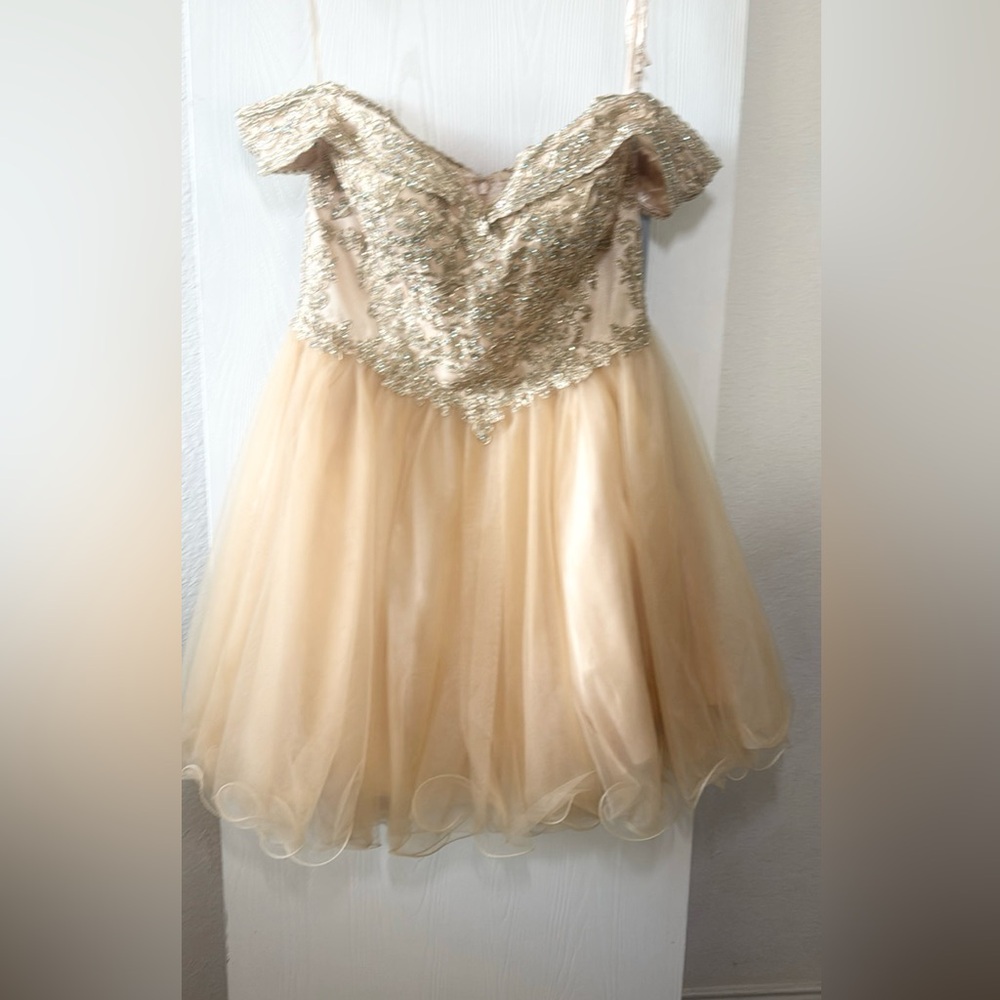 Gold formal Dress, NWT size XL